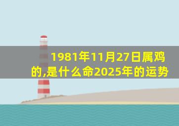 1981年11月27日属鸡的,是什么命2025年的运势