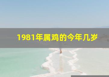 1981年属鸡的今年几岁