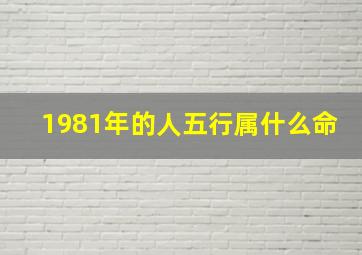 1981年的人五行属什么命