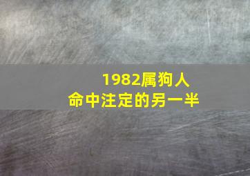 1982属狗人命中注定的另一半