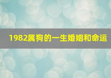 1982属狗的一生婚姻和命运