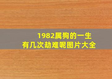 1982属狗的一生有几次劫难呢图片大全