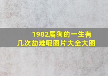 1982属狗的一生有几次劫难呢图片大全大图