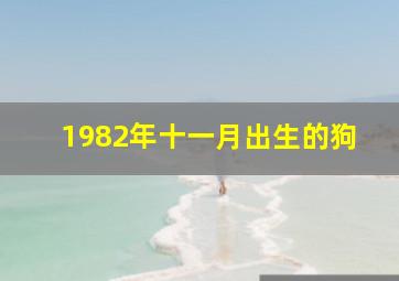 1982年十一月出生的狗