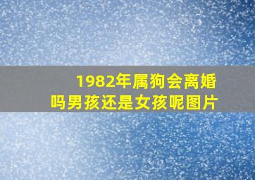 1982年属狗会离婚吗男孩还是女孩呢图片