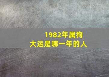 1982年属狗大运是哪一年的人