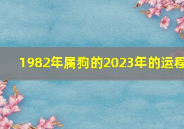 1982年属狗的2023年的运程