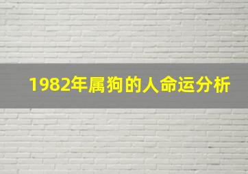 1982年属狗的人命运分析