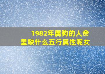 1982年属狗的人命里缺什么五行属性呢女