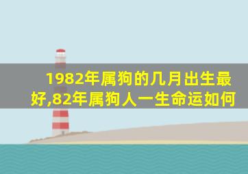 1982年属狗的几月出生最好,82年属狗人一生命运如何