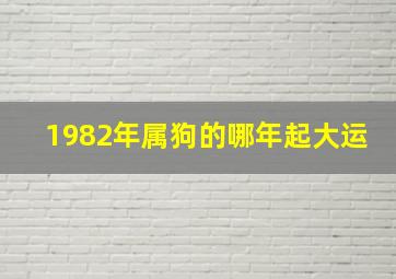 1982年属狗的哪年起大运