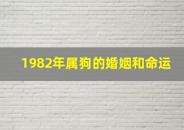 1982年属狗的婚姻和命运