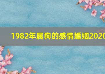 1982年属狗的感情婚姻2020