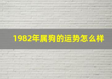 1982年属狗的运势怎么样