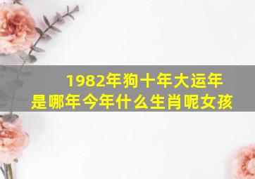 1982年狗十年大运年是哪年今年什么生肖呢女孩