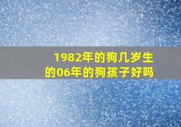 1982年的狗几岁生的06年的狗孩子好吗