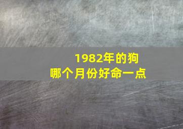 1982年的狗哪个月份好命一点