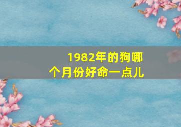 1982年的狗哪个月份好命一点儿