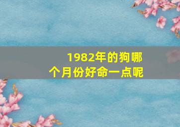 1982年的狗哪个月份好命一点呢