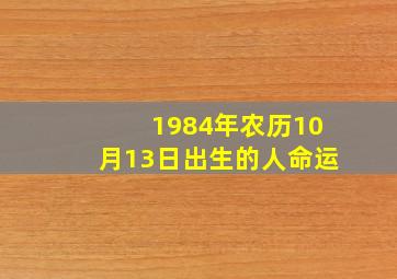 1984年农历10月13日出生的人命运