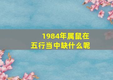 1984年属鼠在五行当中缺什么呢