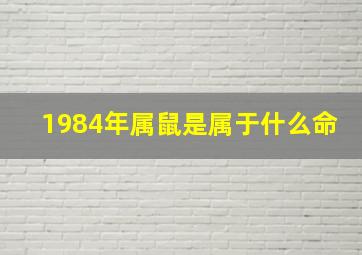 1984年属鼠是属于什么命