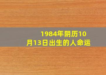 1984年阴历10月13日出生的人命运