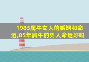 1985属牛女人的婚姻和命运,85年属牛的男人命运好吗