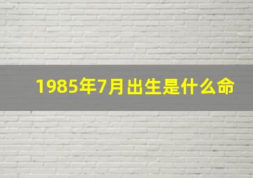 1985年7月出生是什么命