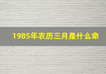 1985年农历三月是什么命