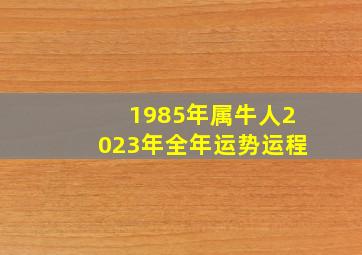 1985年属牛人2023年全年运势运程