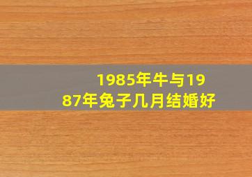 1985年牛与1987年兔子几月结婚好