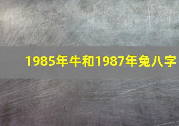 1985年牛和1987年兔八字