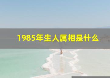 1985年生人属相是什么