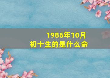 1986年10月初十生的是什么命