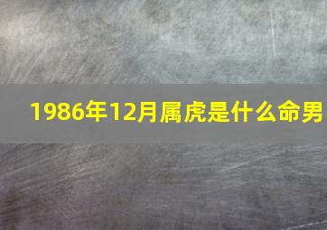 1986年12月属虎是什么命男