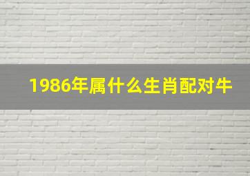 1986年属什么生肖配对牛