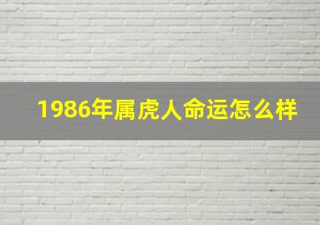 1986年属虎人命运怎么样