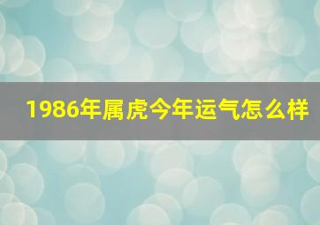 1986年属虎今年运气怎么样