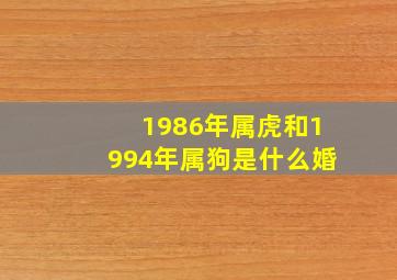 1986年属虎和1994年属狗是什么婚