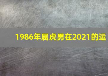 1986年属虎男在2021的运