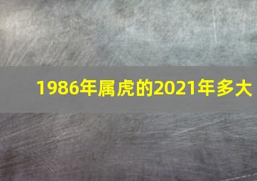 1986年属虎的2021年多大