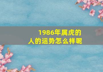 1986年属虎的人的运势怎么样呢