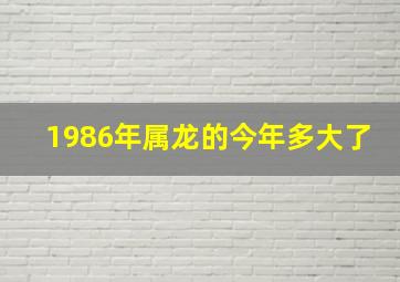 1986年属龙的今年多大了