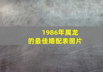 1986年属龙的最佳婚配表图片