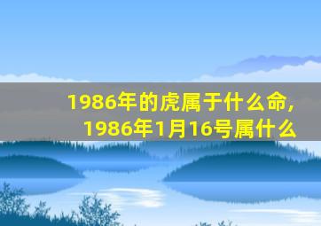 1986年的虎属于什么命,1986年1月16号属什么