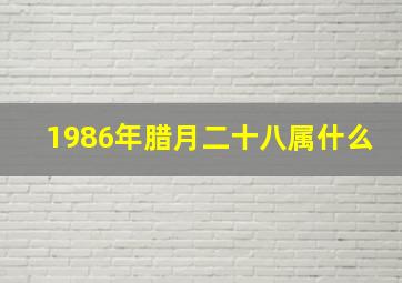 1986年腊月二十八属什么