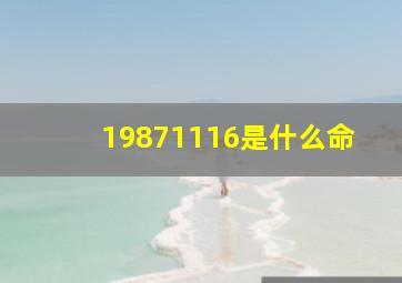 19871116是什么命