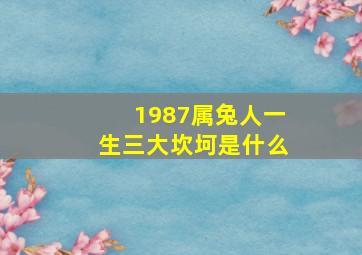 1987属兔人一生三大坎坷是什么