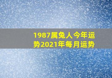 1987属兔人今年运势2021年每月运势